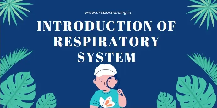 Introduction of Respiratory System